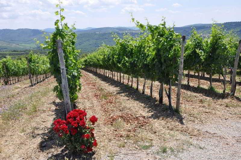 Hotel Borgo Castelvecchi Residenza Depoca Radda In Chianti Esterno foto